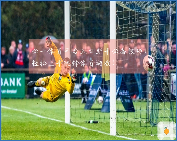 必一体育平台入口新手必备技巧，轻松上手玩转体育游戏！