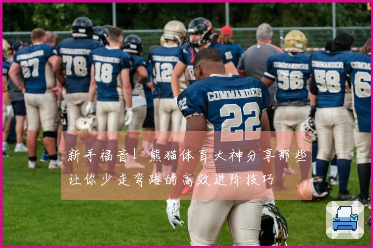 新手福音！熊猫体育大神分享那些让你少走弯路的高效进阶技巧