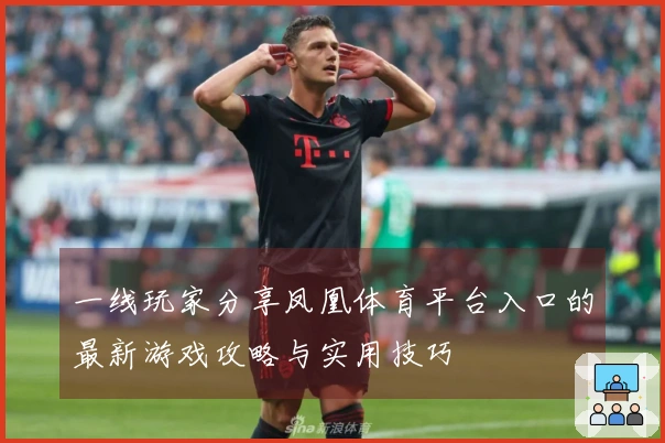 一线玩家分享凤凰体育平台入口的最新游戏攻略与实用技巧